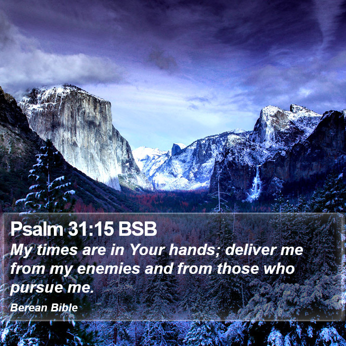 Psalms 31:15 BSB Bible Study