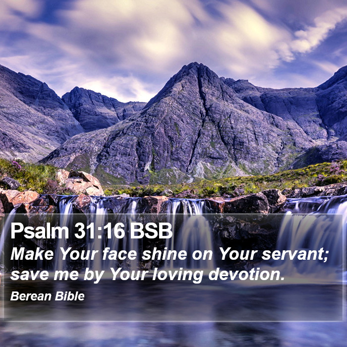 Psalms 31:16 BSB Bible Study