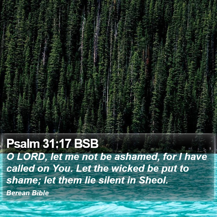 Psalms 31:17 BSB Bible Study