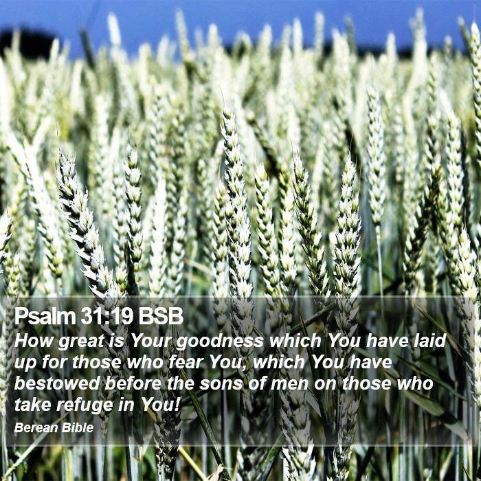 Psalms 31:19 BSB Bible Study