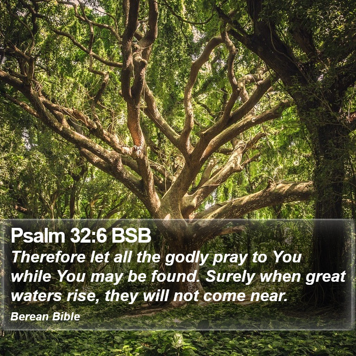 Psalms 32:6 BSB Bible Study