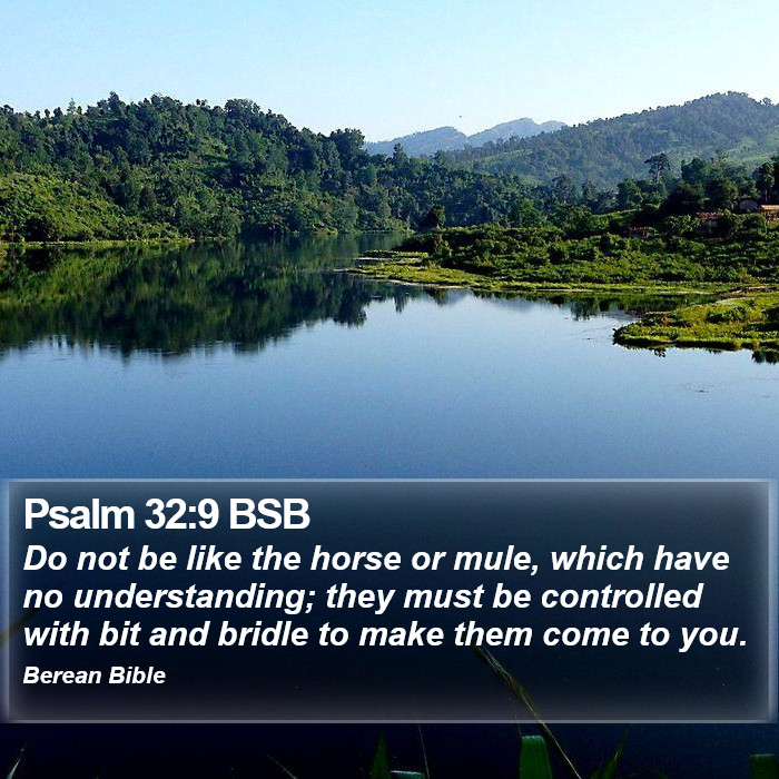 Psalms 32:9 BSB Bible Study