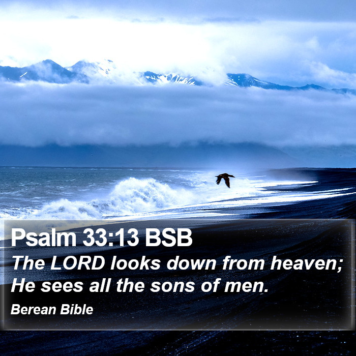 Psalms 33:13 BSB Bible Study