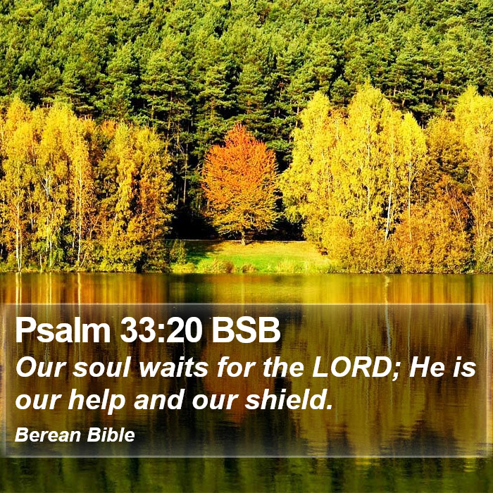 Psalms 33:20 BSB Bible Study