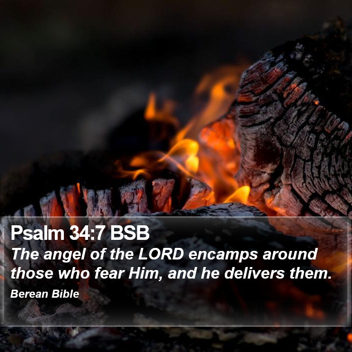 Psalms 34:7 BSB Bible Study