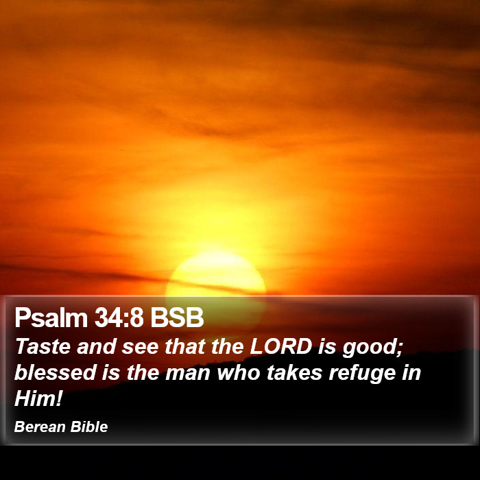 Psalms 34:8 BSB Bible Study