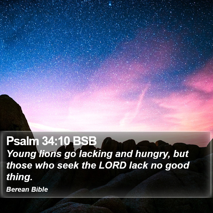 Psalms 34:10 BSB Bible Study