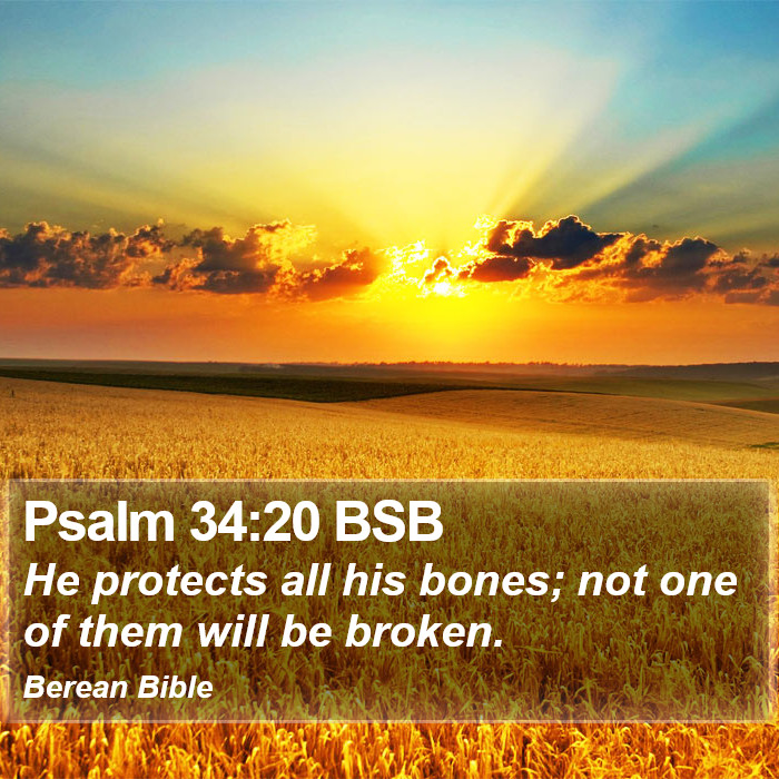 Psalms 34:20 BSB Bible Study