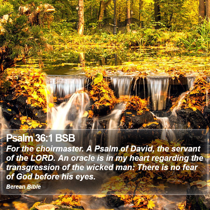 Psalms 36:1 BSB Bible Study