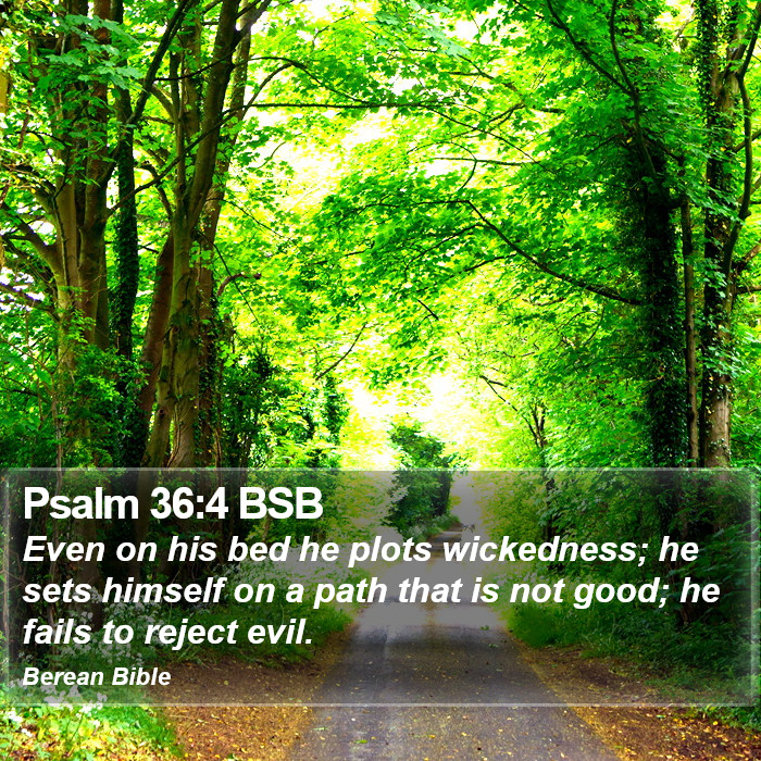 Psalms 36:4 BSB Bible Study