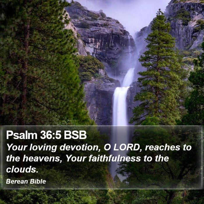 Psalms 36:5 BSB Bible Study