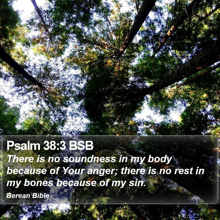 Psalms 38:3 BSB Bible Study