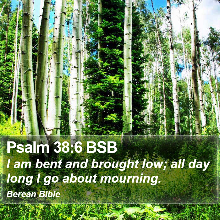 Psalms 38:6 BSB Bible Study