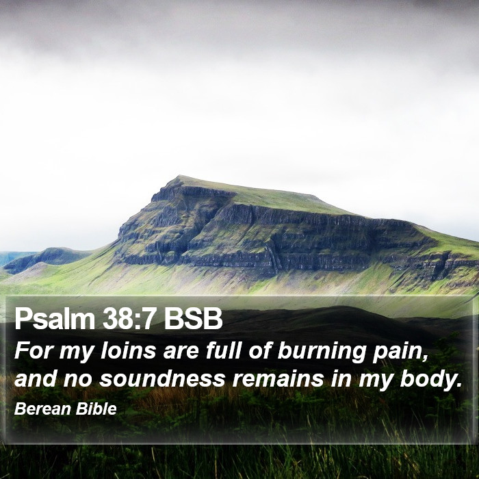 Psalms 38:7 BSB Bible Study