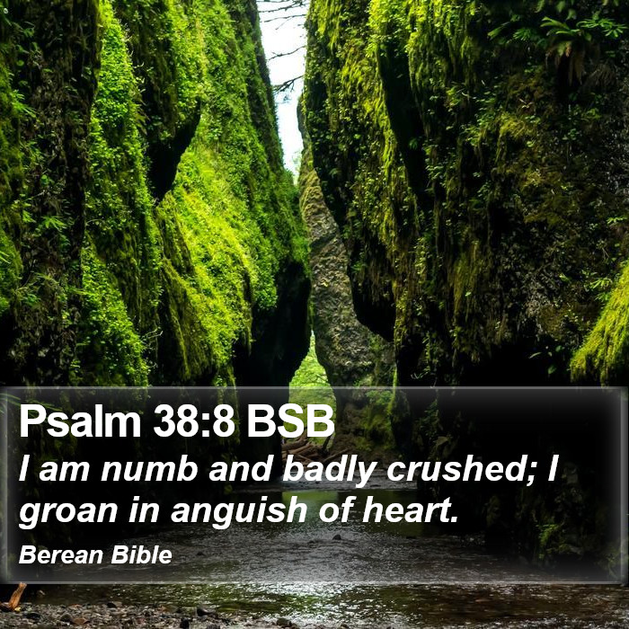 Psalms 38:8 BSB Bible Study