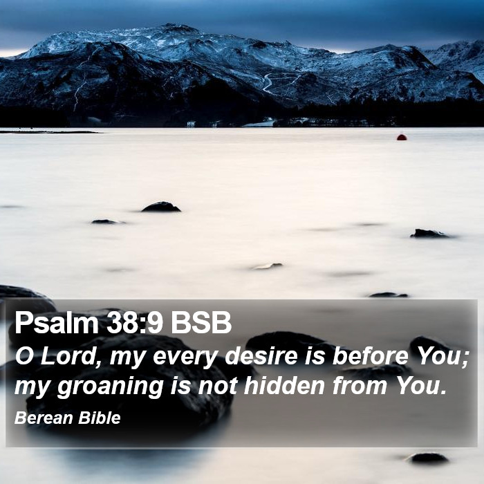 Psalms 38:9 BSB Bible Study