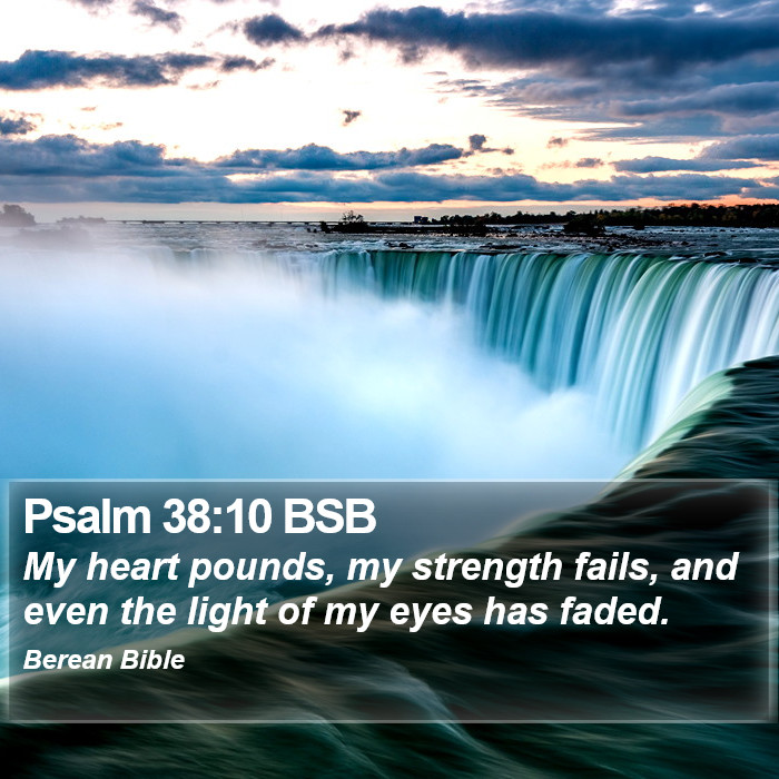 Psalms 38:10 BSB Bible Study