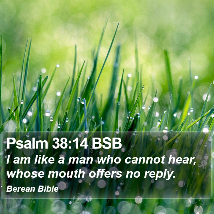 Psalms 38:14 BSB Bible Study