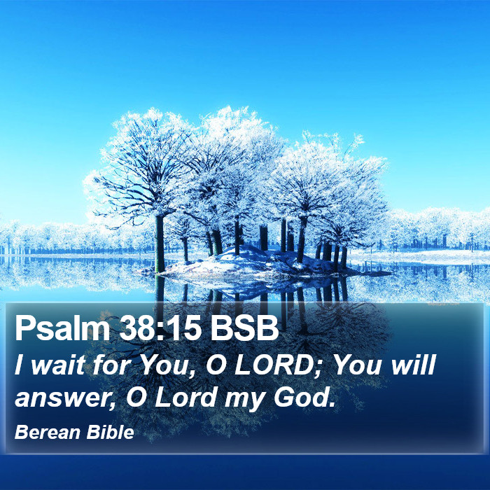 Psalms 38:15 BSB Bible Study