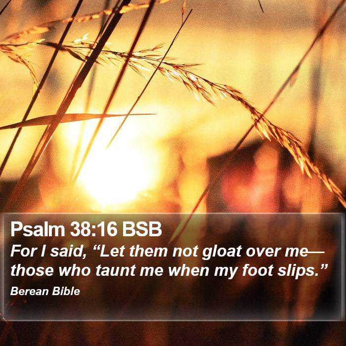 Psalms 38:16 BSB Bible Study