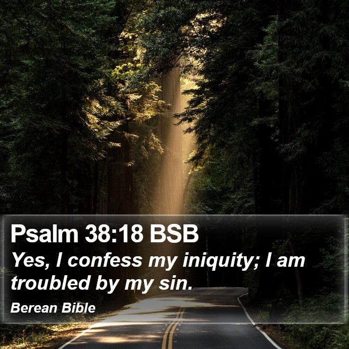 Psalms 38:18 BSB Bible Study