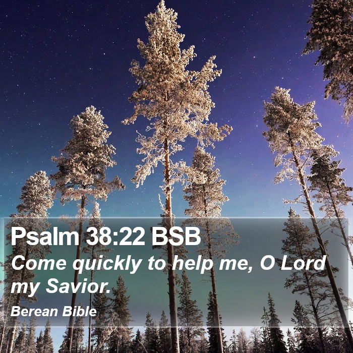 Psalms 38:22 BSB Bible Study