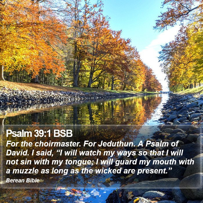 Psalms 39:1 BSB Bible Study