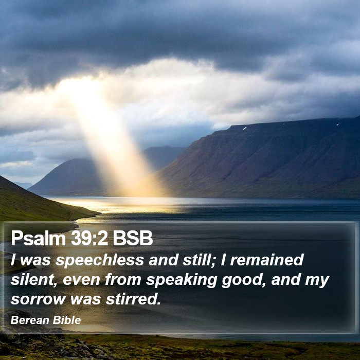 Psalms 39:2 BSB Bible Study