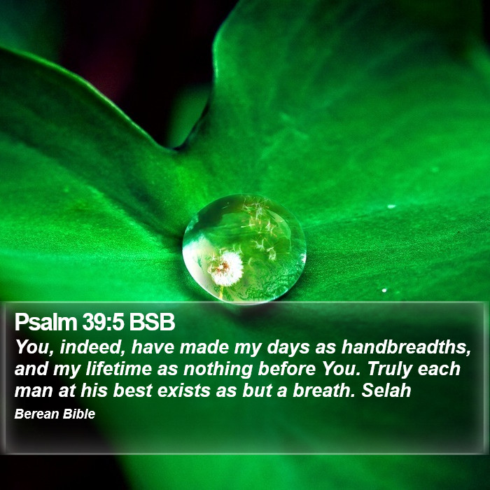 Psalms 39:5 BSB Bible Study