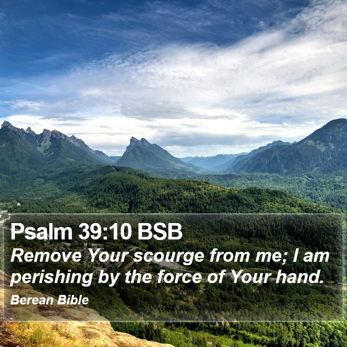 Psalms 39:10 BSB Bible Study