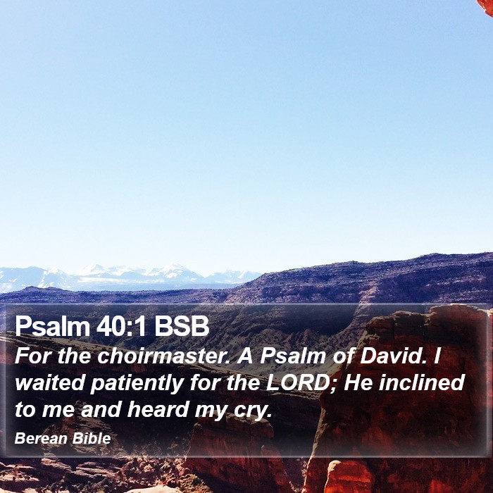 Psalms 40:1 BSB Bible Study