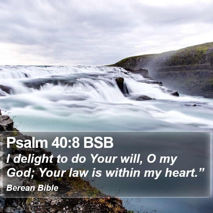 Psalms 40:8 BSB Bible Study