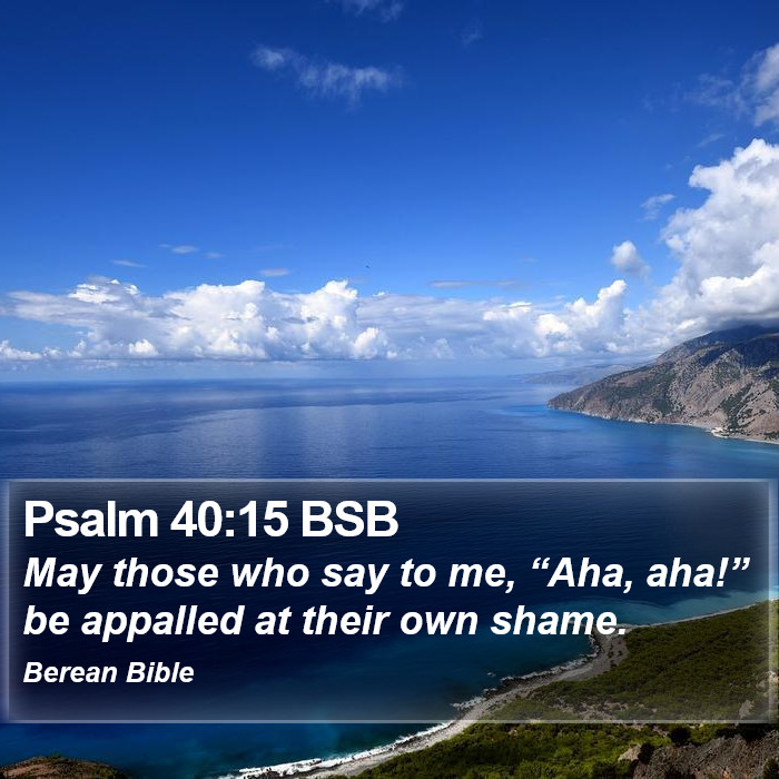 Psalms 40:15 BSB Bible Study