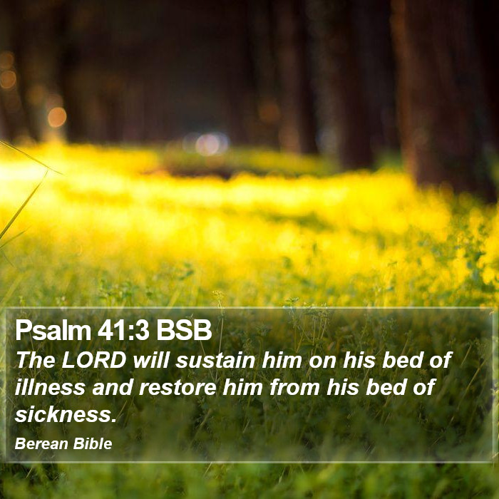 Psalms 41:3 BSB Bible Study