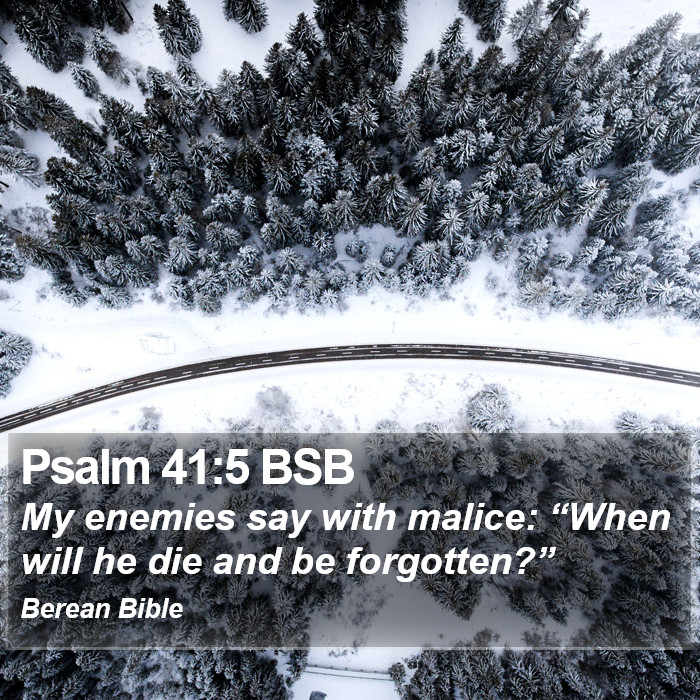 Psalms 41:5 BSB Bible Study