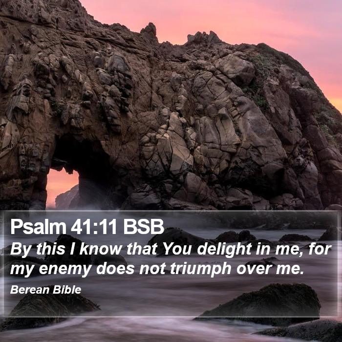 Psalms 41:11 BSB Bible Study