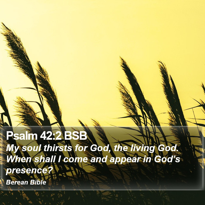 Psalms 42:2 BSB Bible Study