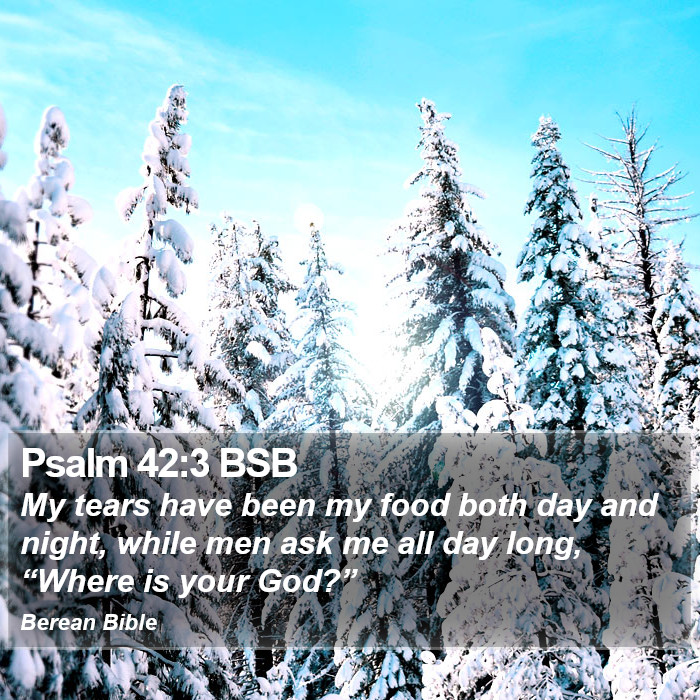 Psalms 42:3 BSB Bible Study