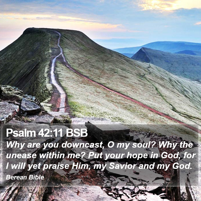 Psalms 42:11 BSB Bible Study