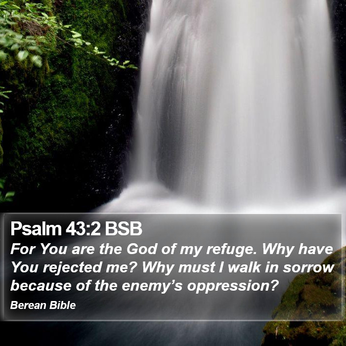 Psalms 43:2 BSB Bible Study