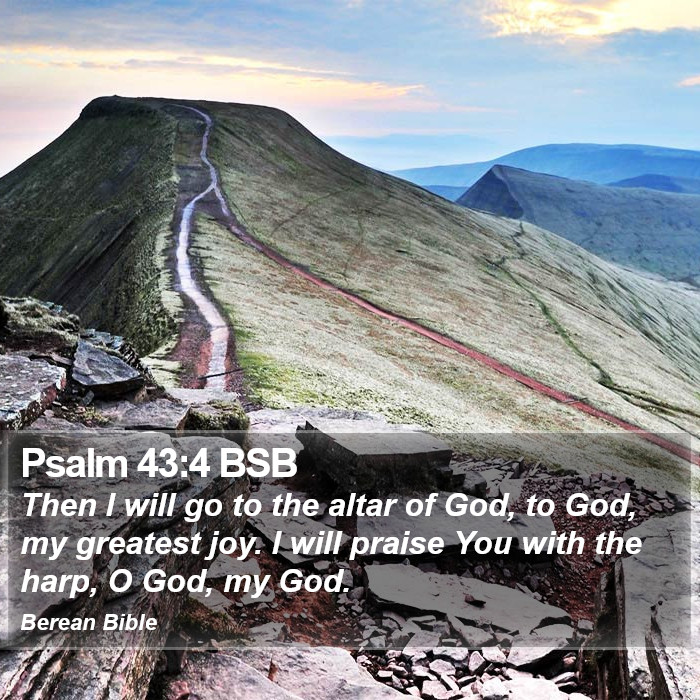 Psalms 43:4 BSB Bible Study