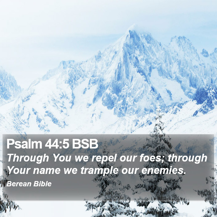 Psalms 44:5 BSB Bible Study