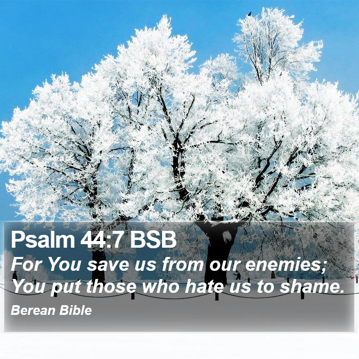 Psalms 44:7 BSB Bible Study