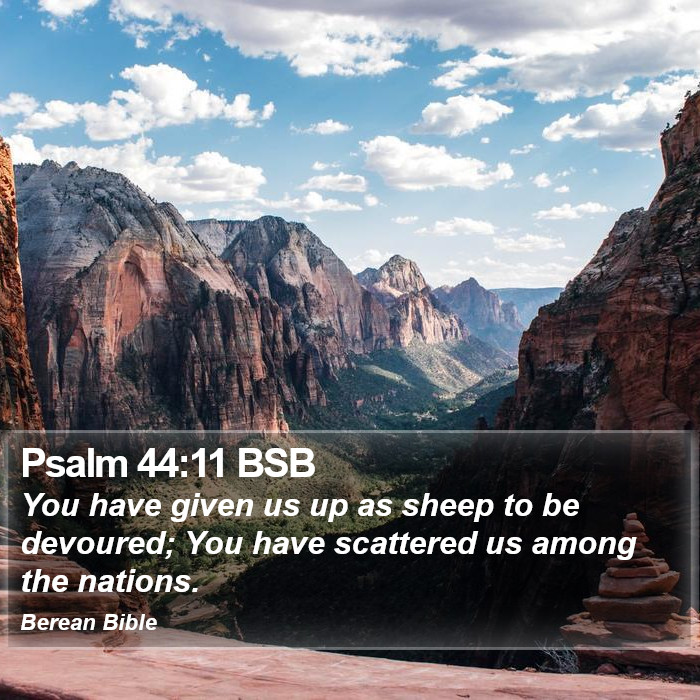 Psalms 44:11 BSB Bible Study