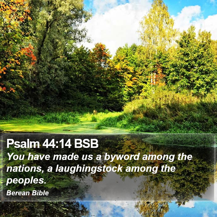 Psalms 44:14 BSB Bible Study