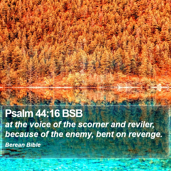 Psalms 44:16 BSB Bible Study