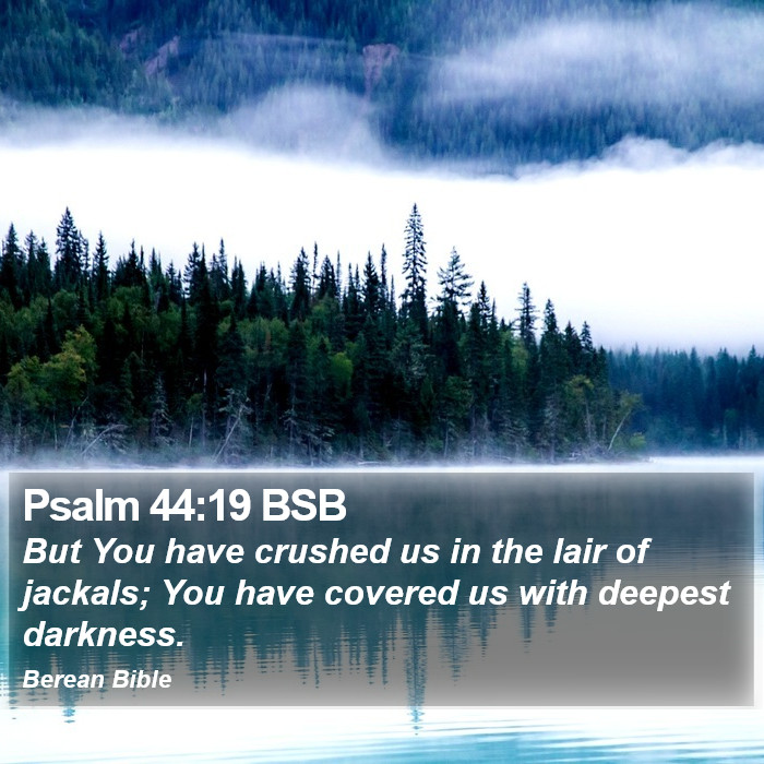 Psalms 44:19 BSB Bible Study