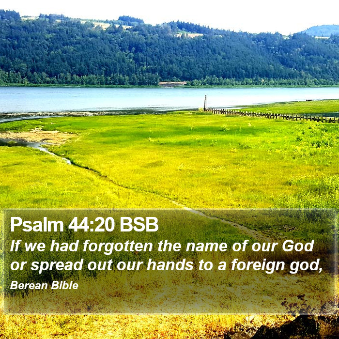 Psalms 44:20 BSB Bible Study