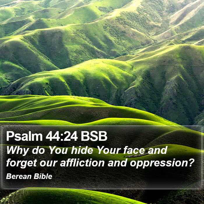 Psalms 44:24 BSB Bible Study