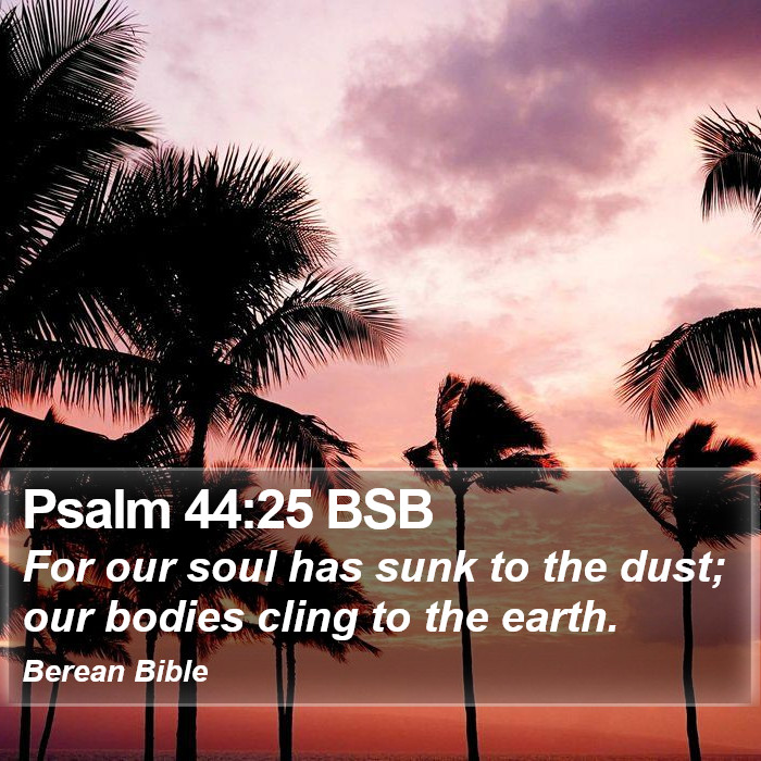 Psalms 44:25 BSB Bible Study